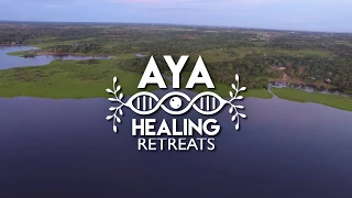 Maneesh de Moor remix Maestra Juanita Ayahuasca Icaro - Drone video