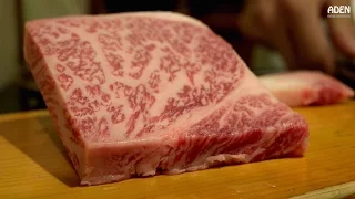 Kobe Beef Teppanyaki - Food in Japan