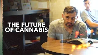 The Future of the Cannabis Industry | Interview With DOPE Magazine