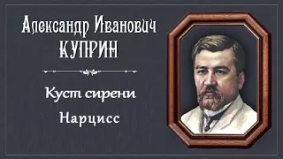 Час с Еленой Гордон • "Куст сирени" •  "Нарцисс"  • Александр Иванович Куприн