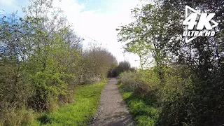 Nature walk through a breathtaking countryside trail (Nature Strolls)