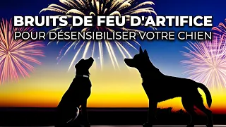 Bruits de Feux d'Artifice pour Désensibiliser votre Chien | Réduisez son Anxiété