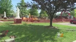 Donated Trees Cut Down In Newark