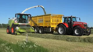 Gras hakselen en inkuilen door Reimink met Claas Jaguar 950 en Massey Ferguson trekkers (2021)