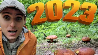 Людей в лісі нема. А БІЛІ ГРИБИ - їх МОРЕ!!! 2023