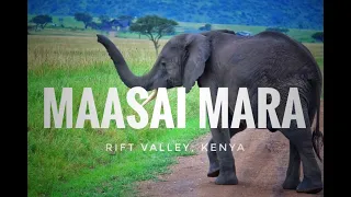 TRAVEL | MAASAI MARA | KENYA 2018