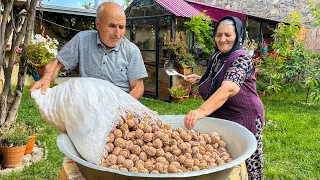 Harvested Fresh Walnuts! Making Delicious Walnut Jam in the Village!