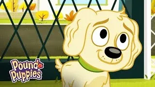 Pound Puppies - Dog Returns