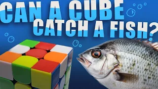 Can a Rubik's Cube Catch a Fish!?