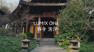 【Lumix GH6】spring day | 4k