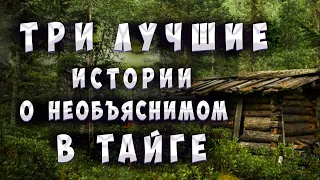 ТОП-3 Лучших историй про необъяснимые случаи в тайге.