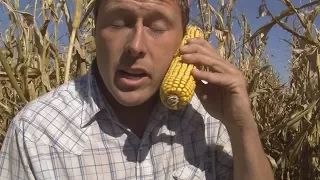 iPhone I Like You #ImAFarmer (Taylor Swift - Look What You Made Me Do) PARODY