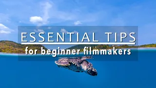 5 ESSENTIAL TIPS for Underwater Videographers