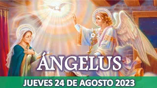 💐EL ÁNGELUS💐JUEVES 24 DE AGOSTO 2023💐REZAR PARA GANAR INDULGENCIAS💐