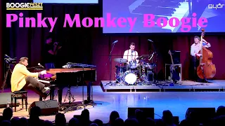 Pinky Monkey Boogie live in Hungary - Nico Brina (Boogie Woogie)