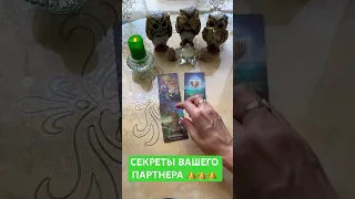 СЕКРЕТЫ ВАШЕГО ПАРТНЕРА 👑👑👑