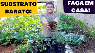 O QUE É SUBSTRATO para as PLANTAS e COMO FAZER em casa GASTANDO POUCO (Ep179)