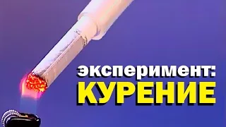 Галилео. Эксперимент ⚠ Курение 🚭 Smoking experiment