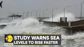 WION Climate Tracker | Study: Global sea levels set to rise higher than predicted