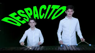 Despacito / Marimba Cover