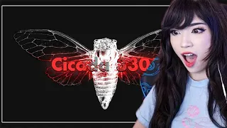 Emiru Reacts To: "Cicada 3301: An Internet Mystery"