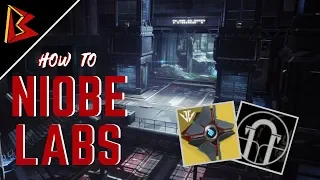 How to BEAT the Niobe Labs! (Step by Step Guide)