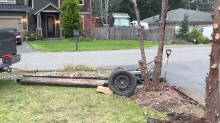 Pulling out a tree stump with a truck and tire