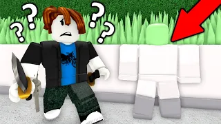 HIDE and SEEK in Roblox Murder Mystery 2