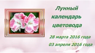 Лунный календарь 28 марта -  03 апреля 2016 года. Цветочный городок.