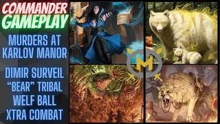 Murders at Karlov Manor EDH Game - Mirko, Duskana, Voja, Anzrag - Commander Gameplay MKM MTG