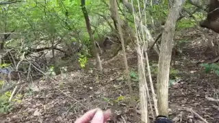 SQUIRREL THROWS ACORN AT ME!