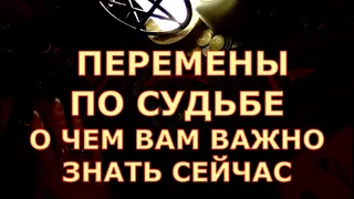 🎯ПЕРЕМЕНЫ ПО СУДЬБЕ 🎯О ЧЕМ ВАМ ВАЖНО ЗНАТЬ ПРЯМО СЕЙЧАС #tarot#shorts#gadanie#таросегодня#тароонлайн