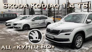 День рождения моей Шкоды Kodiaq 1,4 TSI 2019  спустя 1 год эксплуатации