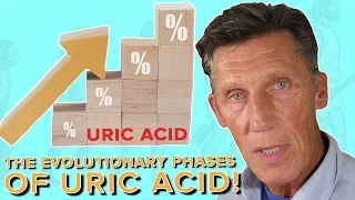 The Evolutionary Phases of Uric acid You Need To Know to dramatically improve your health now