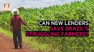 Can new lenders save Brazil’s struggling farmers? | FT Food Revolution