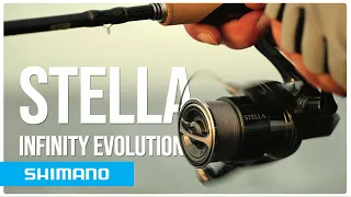 Fishing for big pike with the Stella FK | Infinity Evolution