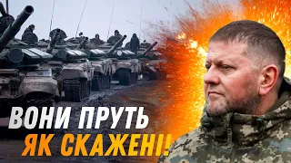 Беспрецедентные потери российской армии 😱 Аналитики шокированы мясными штурмами под Авдеевкой