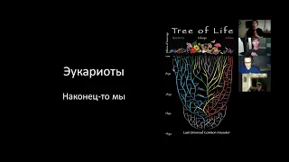 Цитология.  Лекция 16.  Археи и эукариоты: регуляция транскрипции