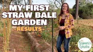 Straw Bale Gardening: results from my first year