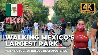 Mexico City Walking Tour, Chapultepec Park⁩, CDMX ⁩ 🇲🇽  [4K HDR / 60fps]