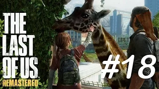 The Last of Us. Remastered #18 ► Жирафа [PS4] проходження українською