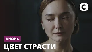 Не пропустите премьеру этой осени – сериал Цвет страсти! Смотрите с 23 ноября на СТБ