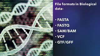 File format system in Biological data | FASTA | FASTQ | SAM/BAM | VCF | GTF | GFF | Tutorial 7