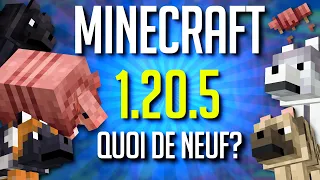 Quoi de Neuf dans Minecraft Java 1.20.5 et Bedrock 1.20.80 ?