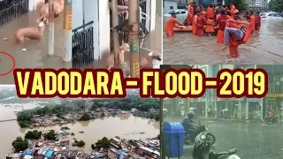 Vadodara flood - 2019 Gujarat , how crocodile attacked dog