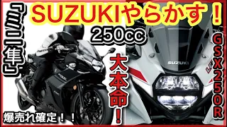 【速報】「隼ミニ」誕生！爆売れ確定！！-新型GSX-250Rのすべて-