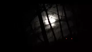 SQUATCHING AT NIGHT || Bigfoot Country #4