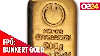 Depot: Wiener FPÖ bunkert Goldbarren in Osttirol