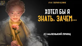 Маленький Принц лучшие цитаты. Мудрые мысли из Великой сказки. ТАК ГОВОРИЛИ ВЕЛИКИЕ. Мы в ответе за.