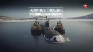 «Осиное гнездо» подводных лодок (2020)